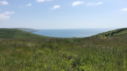 View over rolling green fields to the sea.